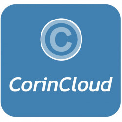 CMS SEO statisztika