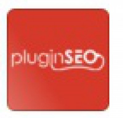 Plugin SEO ellenőrző modul