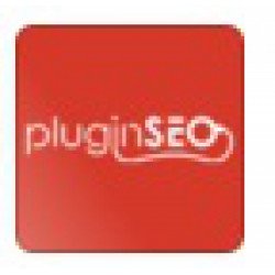 Plugin SEO ellenőrző modul