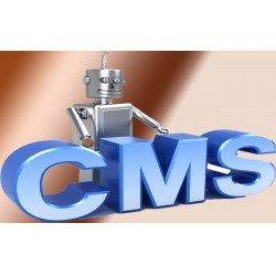 CMS: tetszőleges tartalmú oldalak